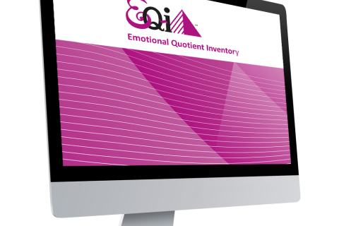 EQ-i - Emotional Quotient Inventory